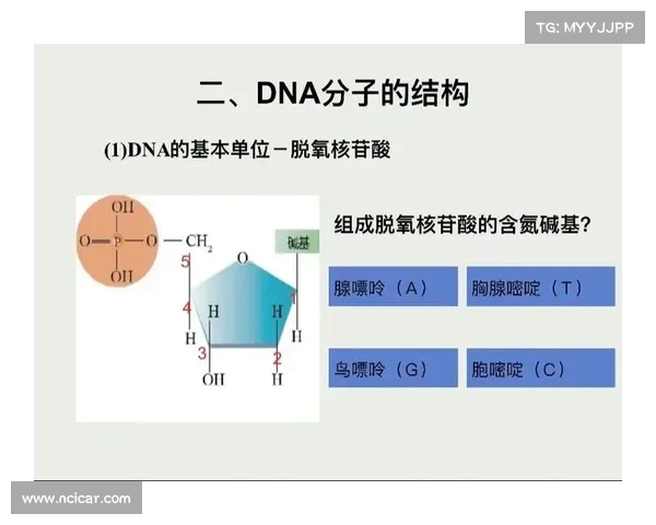 “碱基MSI后首败引发热议,TES或将突破瓶颈,BLG面临更大挑战”(碱基a+g) “碱基MSI后首败引发热议,TES或将突破瓶颈,BLG面临更大挑战”(碱基a+g)