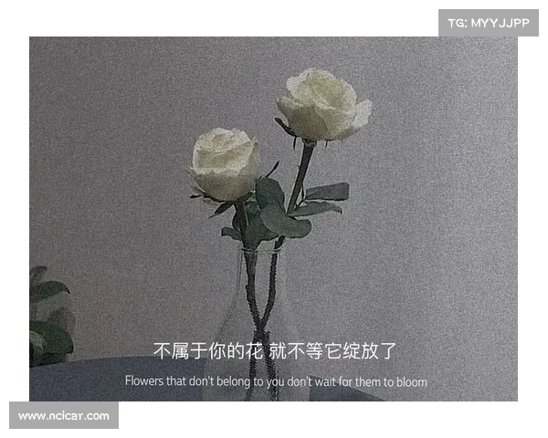 从库里口中听到的真情告白:“湾区是我的家,永远不改变” 从库里口中听到的真情告白:“湾区是我的家,永远不改变”